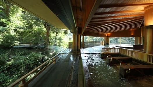 寝湯