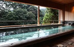 2階「こもれびの湯」