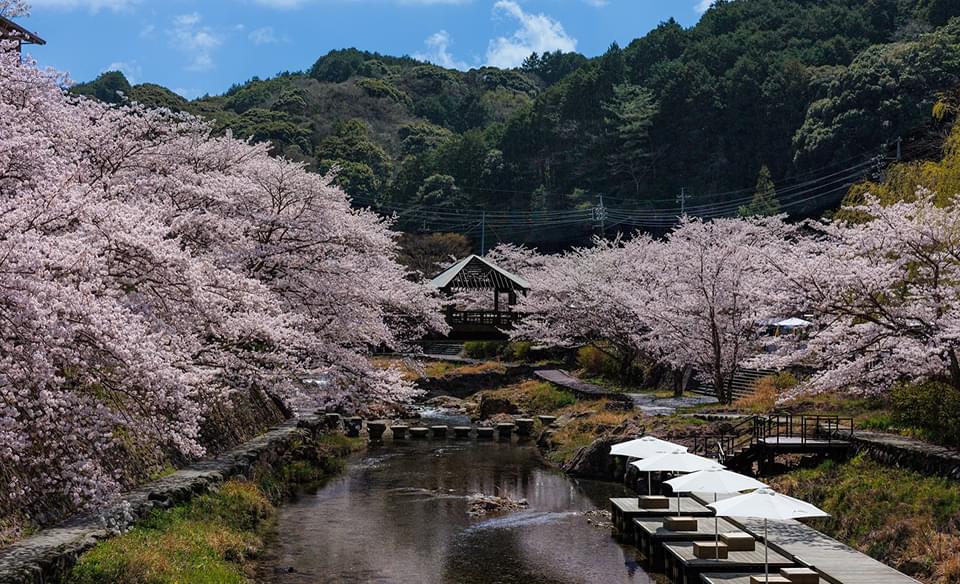 長門湯本温泉のまちづくりへの参画を通じた地域貢献