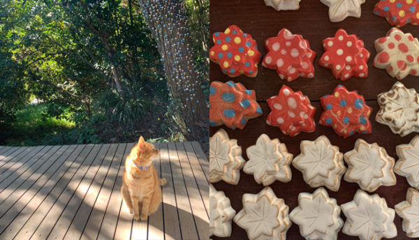 【Yamaguchi Souvenirs】 We have new hagi-yaki earthenware from Tsukasa Kaneko (November)