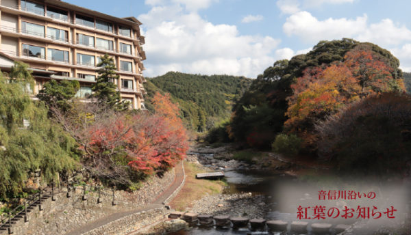 【山口観光】ただ今、大谷山荘は紅葉の見頃です
