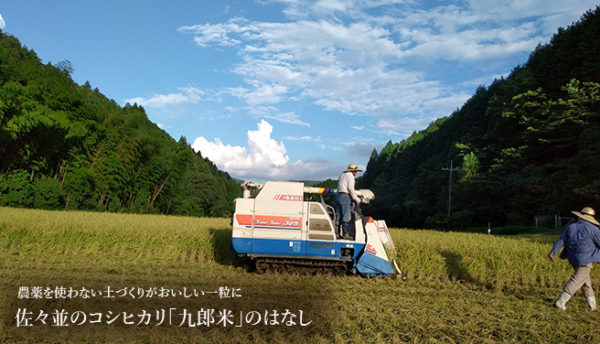 【山口よりみち情報】今年も美味しい「九郎米」の新米が届きました～山口県のコシヒカリ