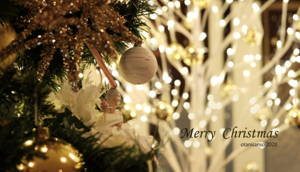 【冬の催し】今年もクリスマスの季節がやってきました。～クリスマス･コーディネート2020