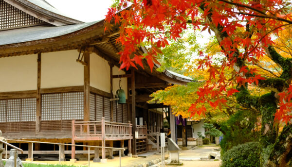 【秋の催し】紅葉の名所･大寧寺まで無料送迎｢紅葉バス運行｣のご案内(2022年11月12日～11月27日)