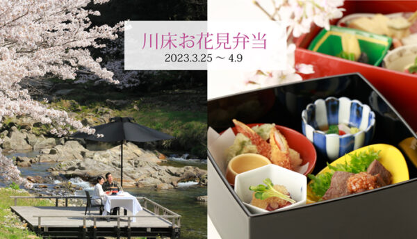 【川床の催し】桜舞う季節限定。長門湯本で春ランチを愉しむ｢川床お花見弁当｣のご案内(3月25日～4月9日)