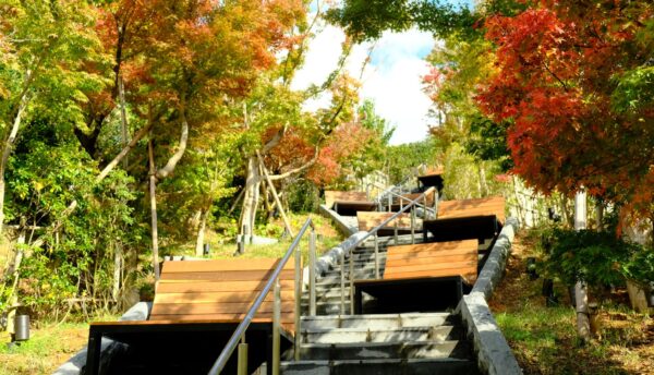 【山口観光】｢紅葉ごろ寝BAR｣が開催。長門湯本でやさしい明りに灯された紅葉を眺めませんか？(2023年10月27日(金)～11月26日(日))
